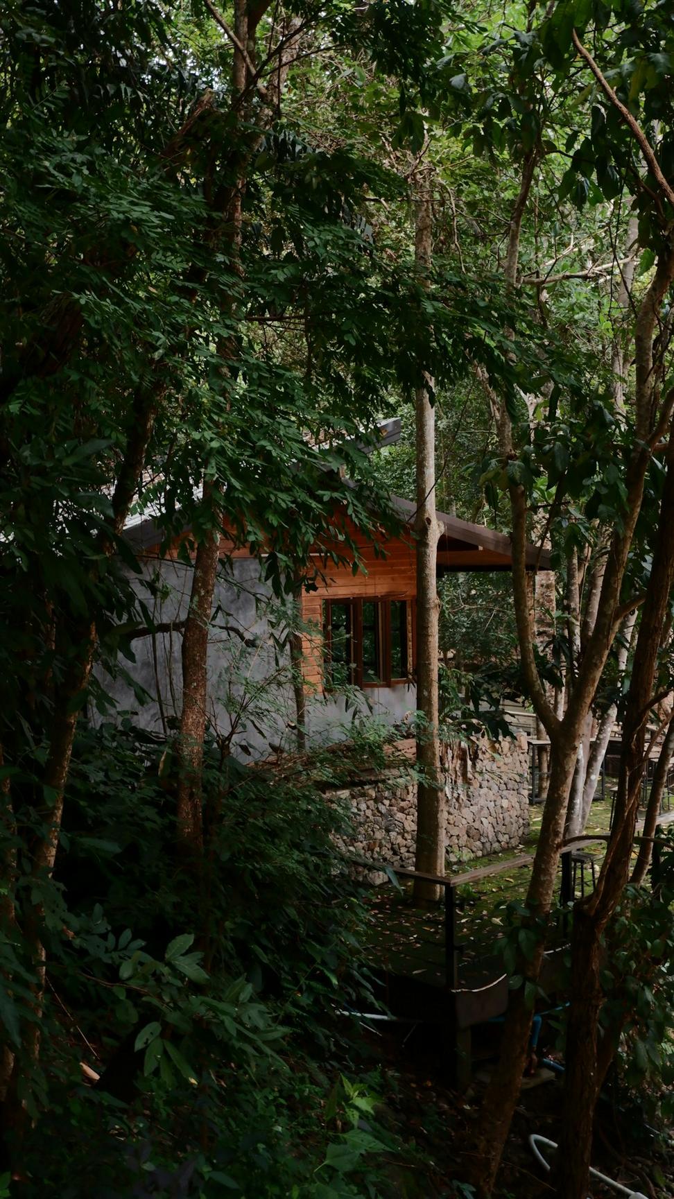 Bowen Island Forest Cabin