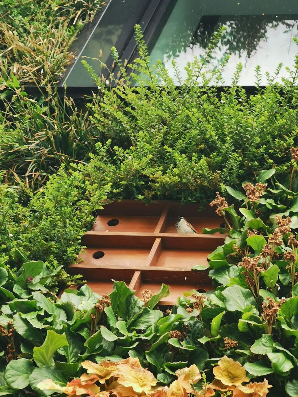 Sustainable building