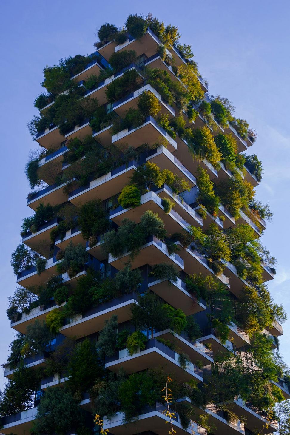 Residential Architecture